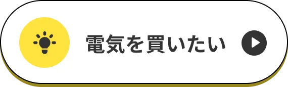 電気を買いたい˝