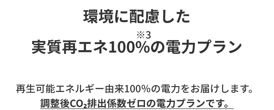 環境に配慮した
実質再エネ100%の電力プラン